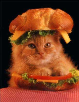 chat hamburger